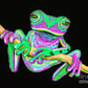 froggy_gurl